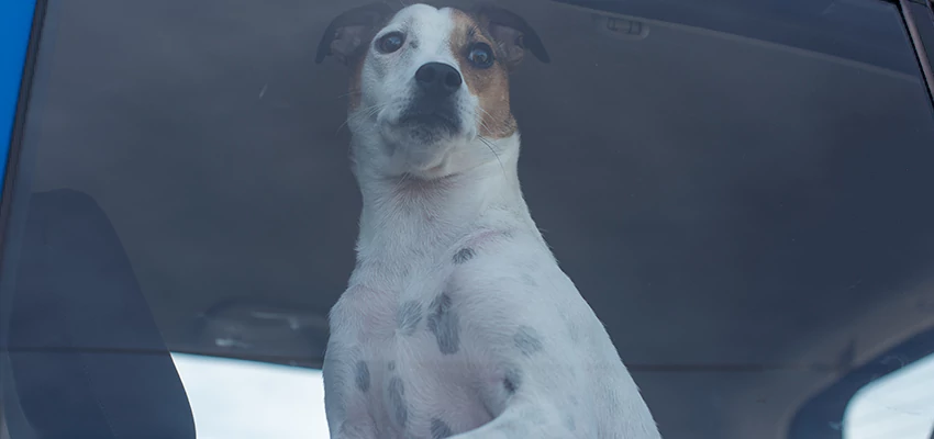 Car Lockout Solutions in Moorpark, California